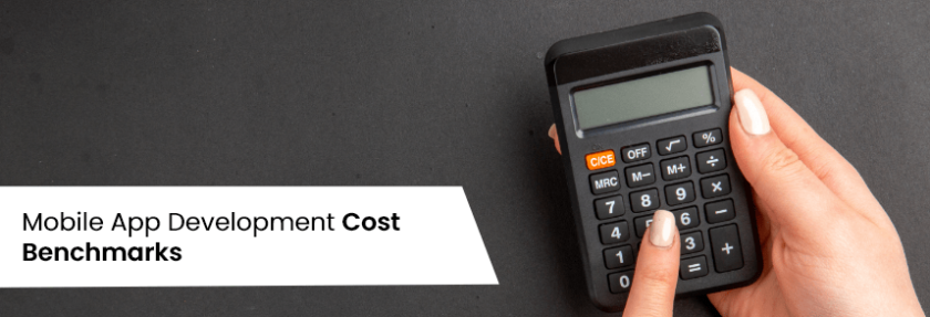 Mobile App Development Cost Benchmarks